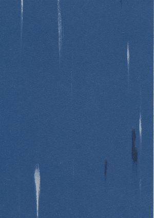 WF077 - LOWVELD LAVENDER