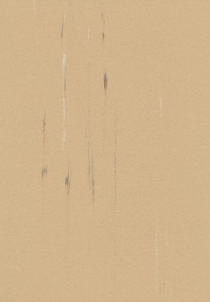 WF070 - SPRINGBOK HIDE