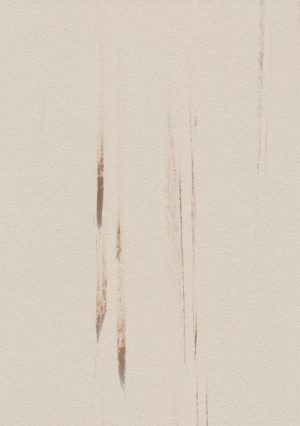 WF038 - BO-KAAP CREAM