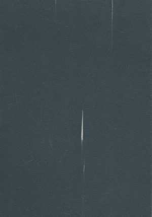 WF018 - MPUMALANGA COAL